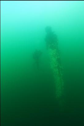 diver next to mast in distance