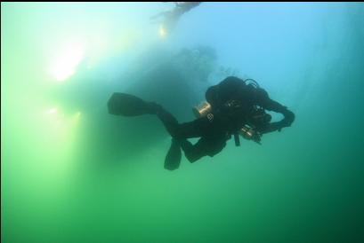 diver under boat