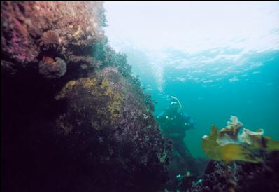 BOULDER IN SHALLOWS