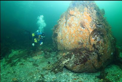 boulder 25 feet deep