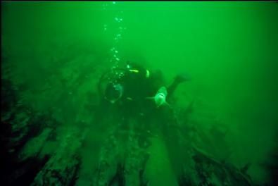 DIVER AND PERCH OVER WRECK