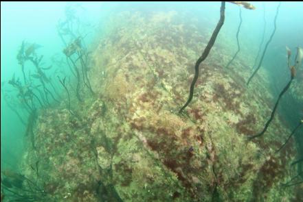 chains running over the nearby reef