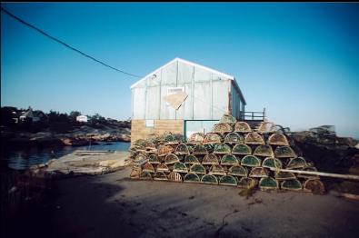 LOBSTER TRAPS BY ENTRY