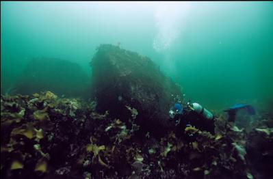 BOULDERS IN SHALLOWS