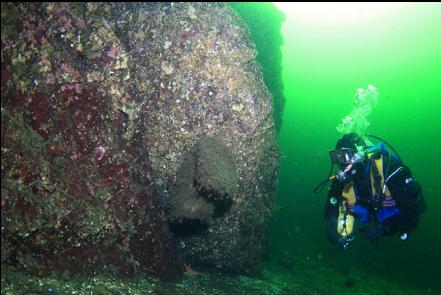 boot sponges 45 feet deep