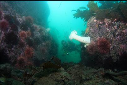 looking through small canyon between reefs