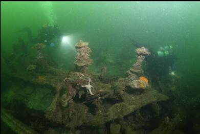 swimming along shallower side of wreck