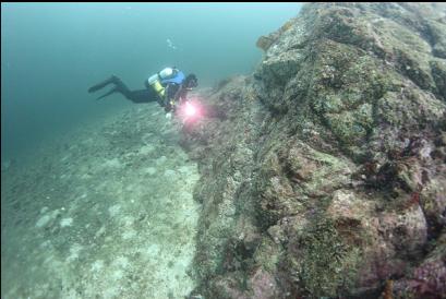 reef 60 feet deep