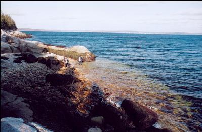 DIVERS ON BEACH