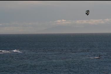 kitesurfer off tip of Clover Point