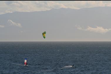 windsurfer and kite surfer