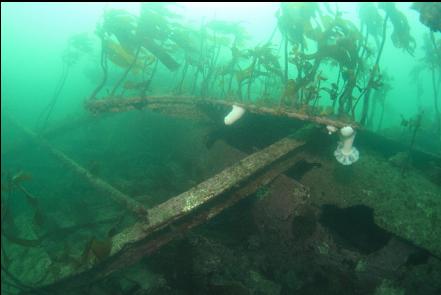wreckage nearing the stern