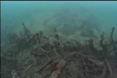 middle of wreck with rocky reef in background