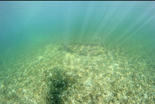 clear visibility in the shallows