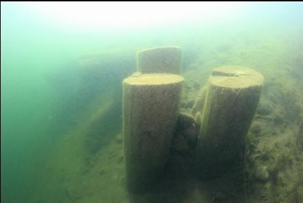 remains of dock pilings