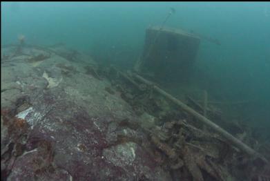 wreckage and tank next to reef on left