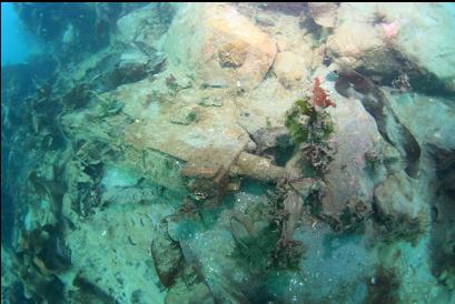 looking down on prop and shaft from small wreck