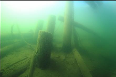 pilings from the old dock
