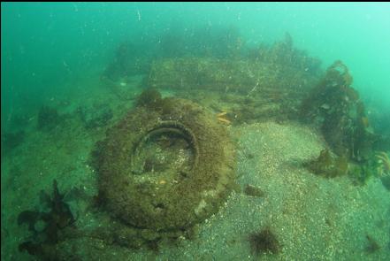 tire above the wreck