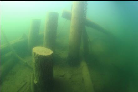 old dock pilings
