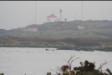 Looking across Enterprise Channel to Trial Island lighthouse