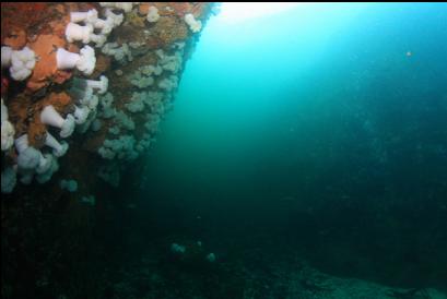 in channel under islet